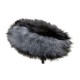 Fur Length: Long