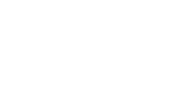 Wisycom