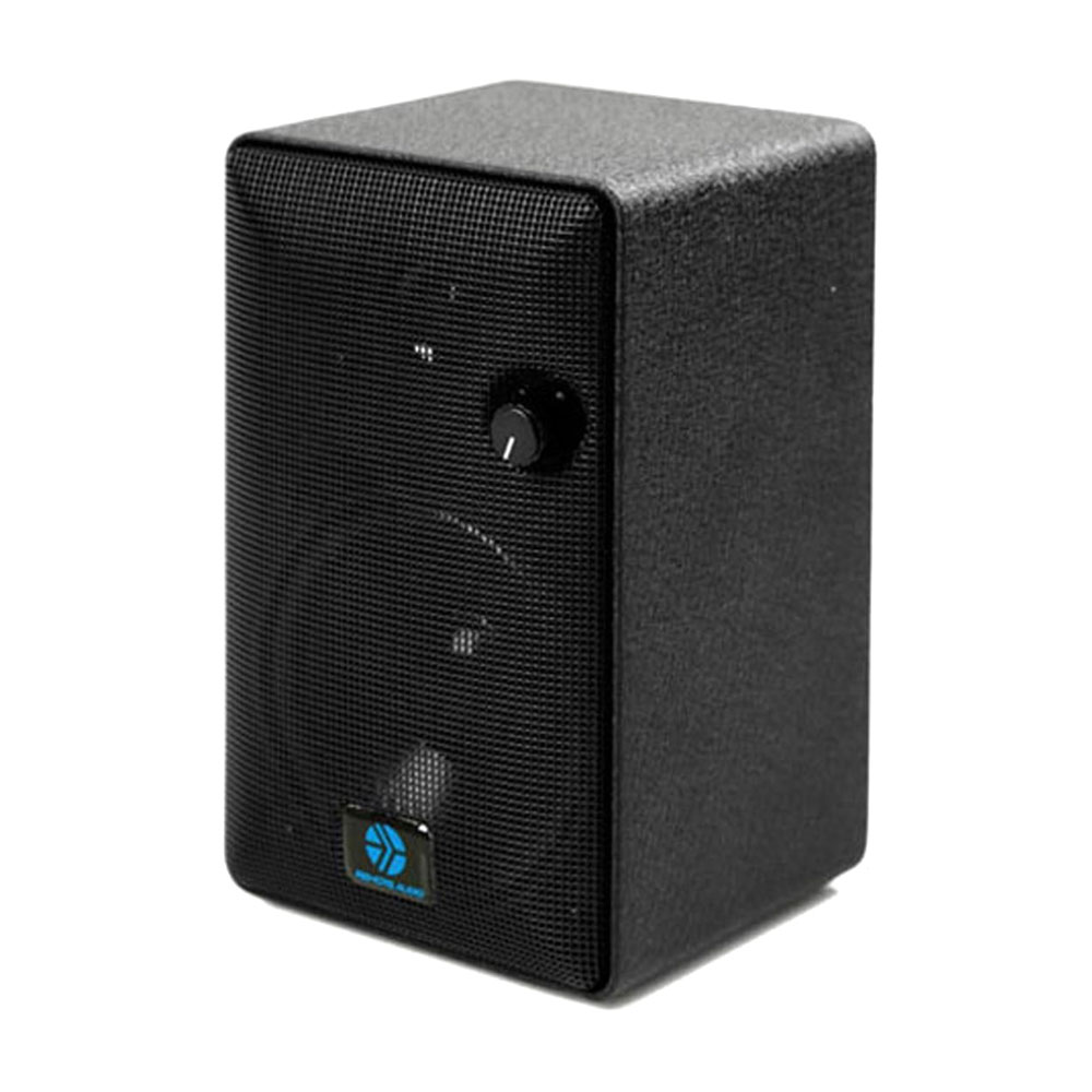 Remote Audio SpeakEasy v4BT Bluetooth Battery Powered Monitor Speaker