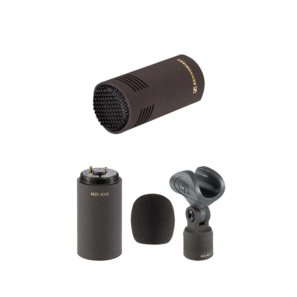 Sennheiser MKH 8050 Compact Supercardioid Microphone - Everything